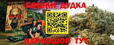 хмурый Кингисепп