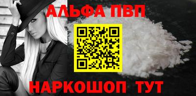 хмурый Кингисепп