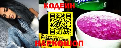 хмурый Кингисепп