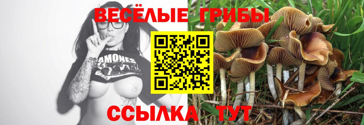 Бошки Шишки  COCAIN  Меф   Краснокаменск  Вход с VPN  Гашиш  Амфетамин кристаллы 