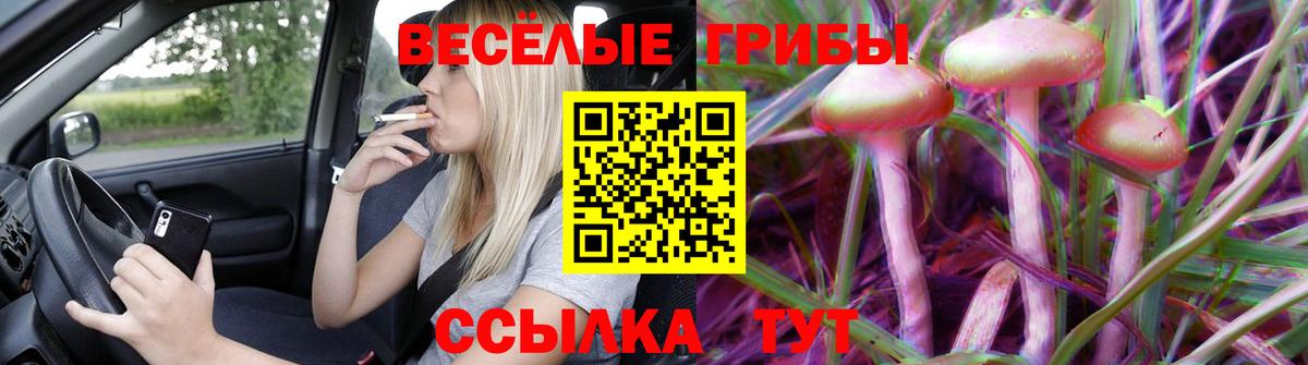 Псилоцибиновые грибы Cubensis  Псилоцибиновые грибы ЛСД  наркота  Вход с VPN  Краснокаменск 